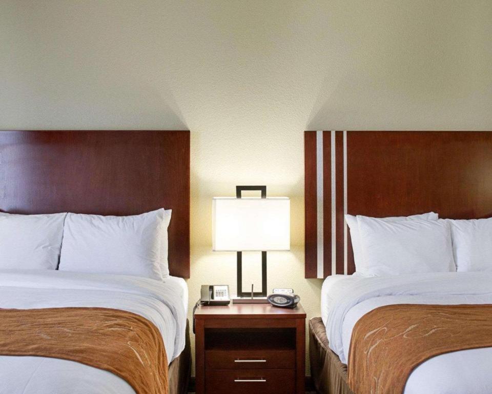 Comfort Suites Greenwood Esterno foto