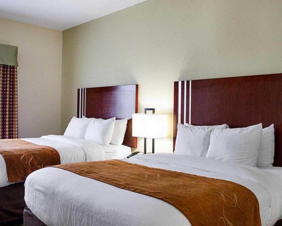 Comfort Suites Greenwood Esterno foto